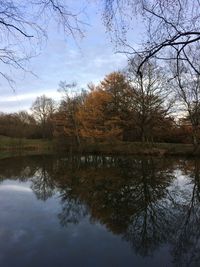 Reflection of trees in lake against sky
