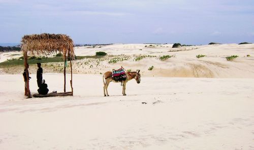 Tourists on beach