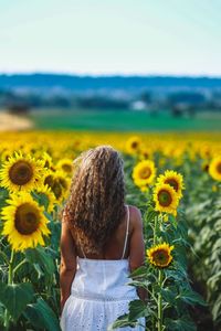 Rear view of woman on sunflower field