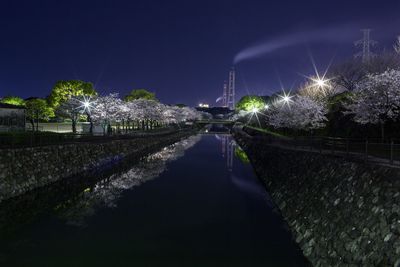 Panoramic view of illuminated trees at night