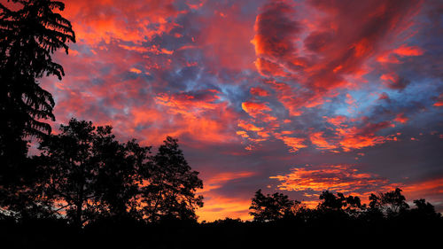 Low angle view of silhouette trees against dramatic sky