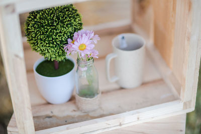 Close-up of potted plant on table