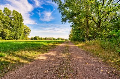 Empty road amidst trees on field against sky