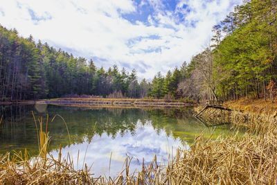 Scenic view of lake by trees against sky