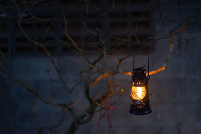 Low angle view of illuminated light bulb hanging from tree at night