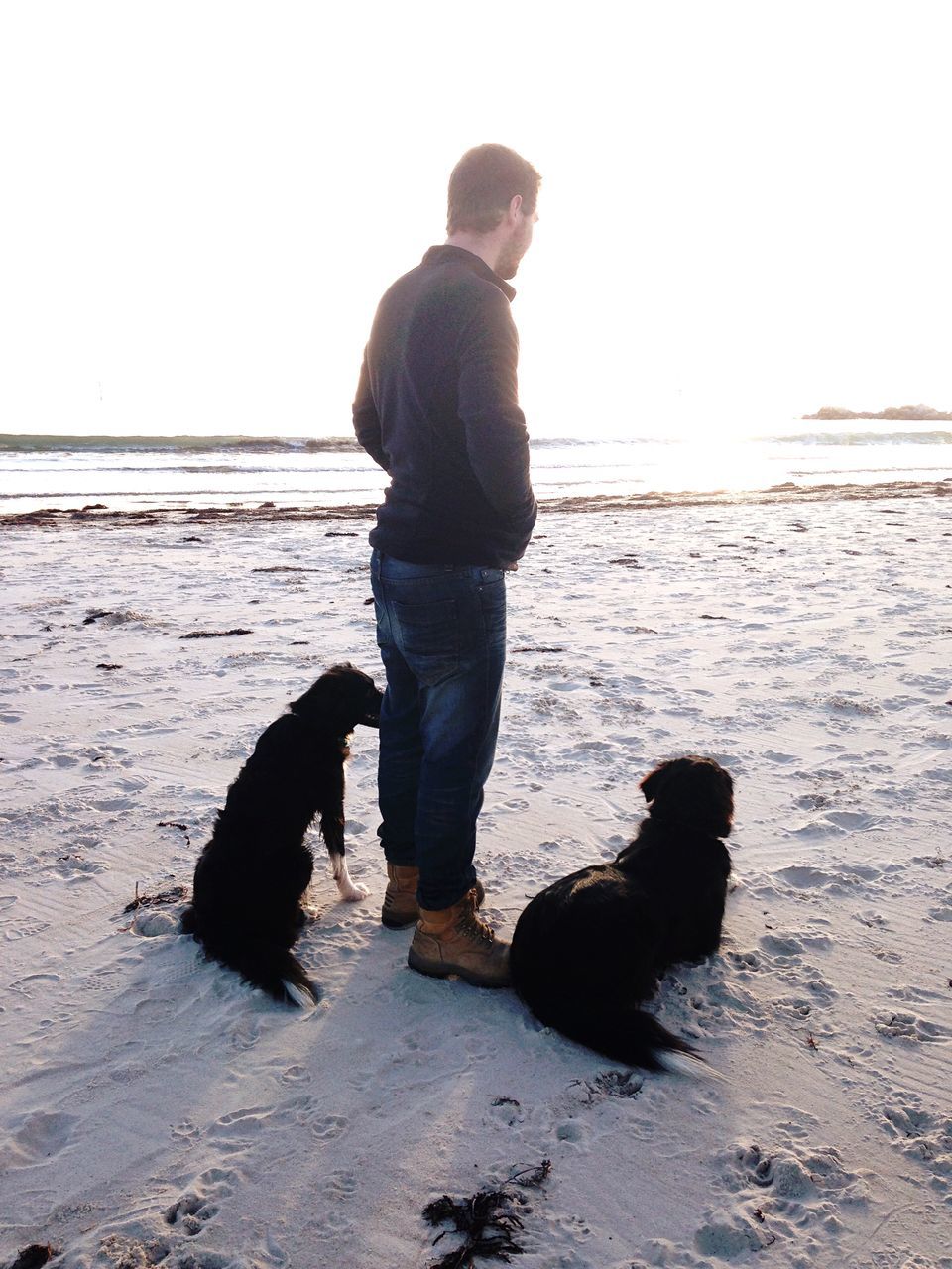 full length, rear view, beach, leisure activity, lifestyles, sea, water, childhood, shore, dog, clear sky, standing, pets, boys, casual clothing, men, sand, nature