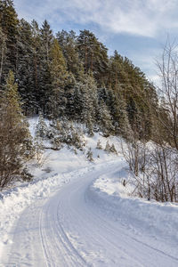 Trees on snow covered landscape against sky