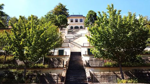 Tree by building against sky