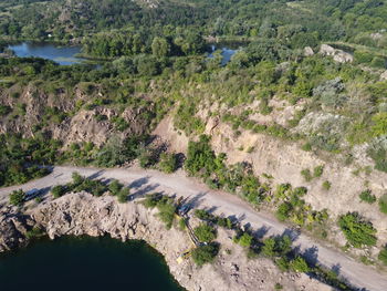 High angle view of trees on field