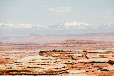 Muted red tones on a sunny day overlooking the maze canyonlands utah
