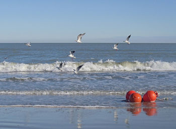 Scenic view of sea against clear sky