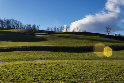 Scenic view of green field against sky