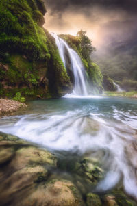 Scenic view of waterfall in forest