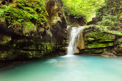 Scenic view of waterfall in forest