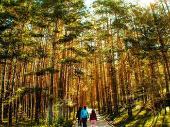 People walking in forest