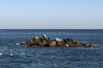 Scenic view of sea against clear sky