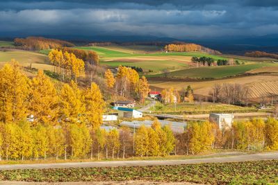 Scenic view of field against sky during autumn