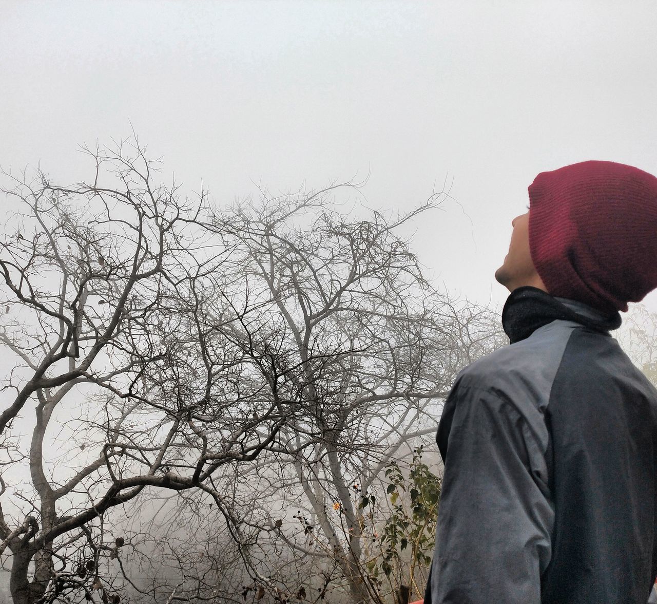 REAR VIEW OF MAN STANDING AGAINST BARE TREES