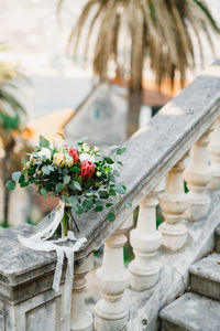 Close-up of potted plant