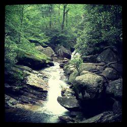 Stream flowing through rocks in forest