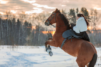 A girl in a white cloak rides a brown horse in winter. golden hour, setting sun. the horse rears up.