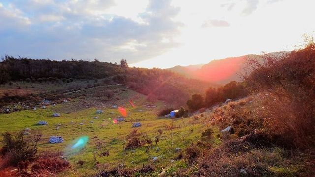 tranquility, landscape, tranquil scene, grass, sun, sky, scenics, beauty in nature, nature, mountain, sunbeam, sunlight, tree, cloud - sky, non-urban scene, lens flare, field, stream, idyllic, high angle view