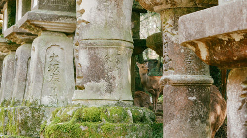 Close-up of old sculpture against stone wall