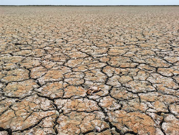 Arid soil and dry planetary emergency