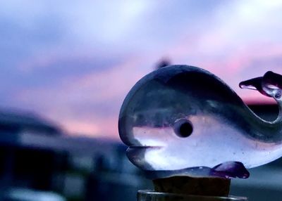 Close-up of fish in statue against sky