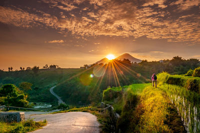 Scenic view of road against sky during sunrise