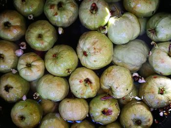 Full frame shot of guavas in water