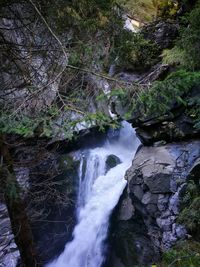 Scenic view of waterfall in forest