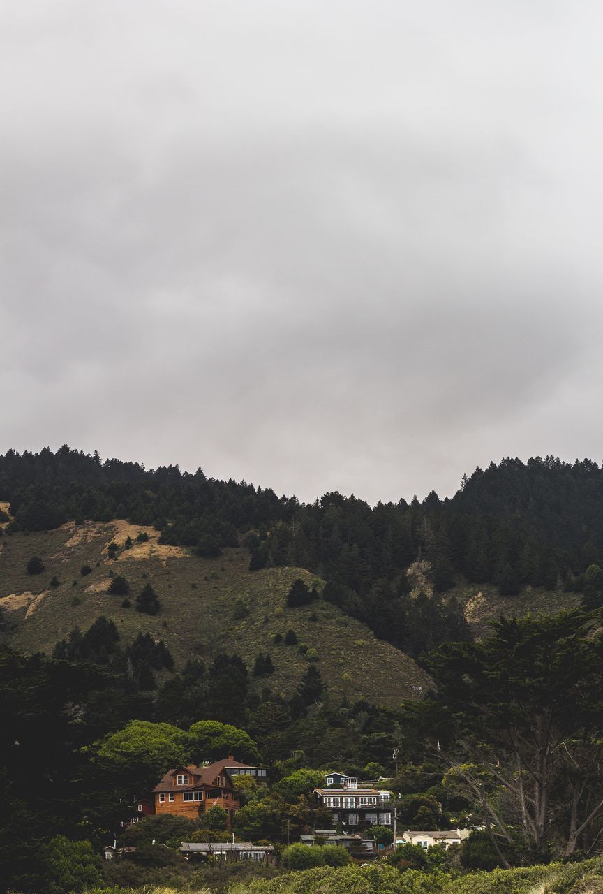 SCENIC VIEW OF MOUNTAIN AND TREES AGAINST SKY