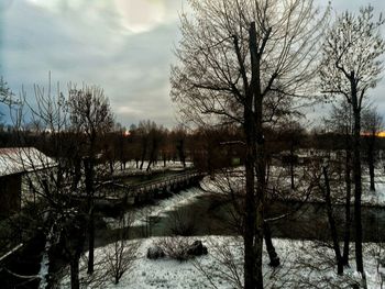 Bare trees on snow covered land against sky