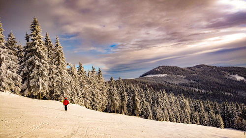 Man on snowcapped mountain against sky