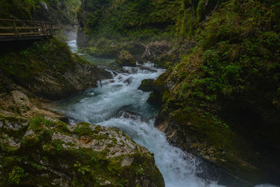 Scenic view of waterfall in forest