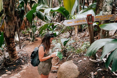 Young woman looking at map while hiking in tropical forest.