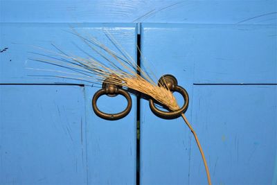 Close-up of closed door