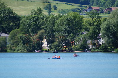 People riding rowboats in river against trees