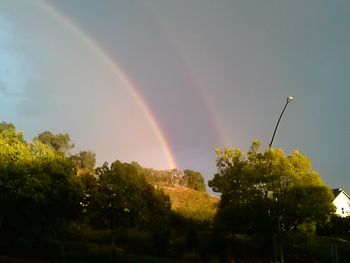 Rainbow over trees