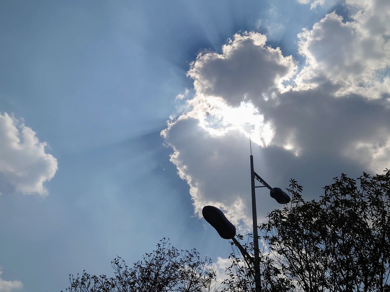 LOW ANGLE VIEW OF SILHOUETTE TREE AGAINST BLUE SKY