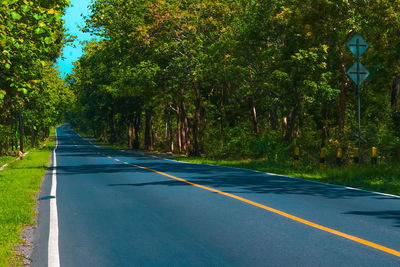 View of road between the forests in national park situbondo, east java, indonesia.