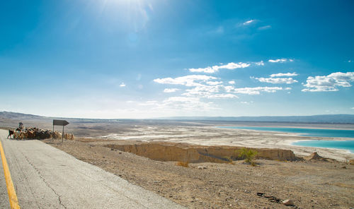 Shepherd with many goats in jordan crossing the road near the dead sea