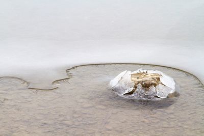 Close-up of water in container