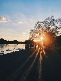 Silhouette people by road against sky during sunset