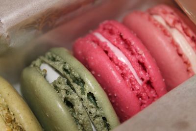 Close-up of served food