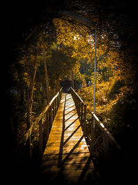 Footbridge over footpath amidst trees in forest