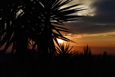 Low angle view of silhouette palm trees against romantic sky