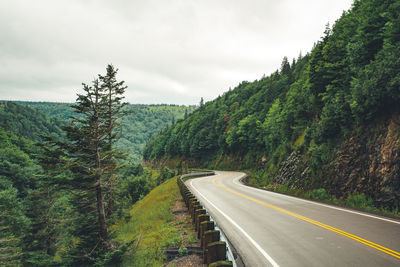 Road amidst trees against sky