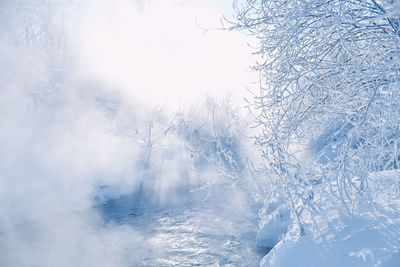 Snow covered land against trees